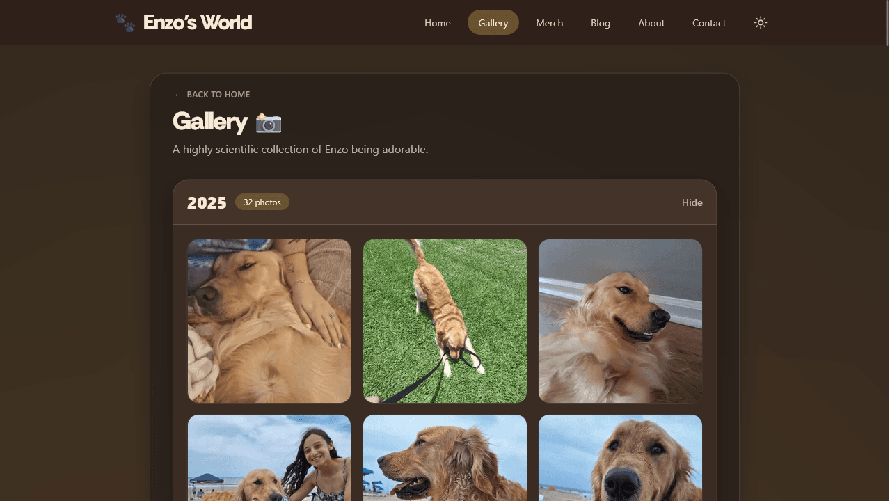 Gallery page showing Enzo photos in a responsive grid