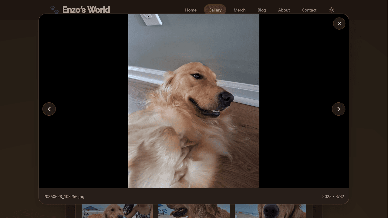 Gallery lightbox showing a selected Enzo photo