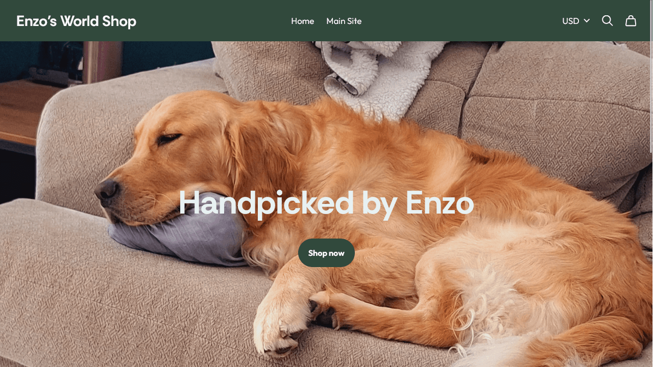 Enzo's World Shop landing page